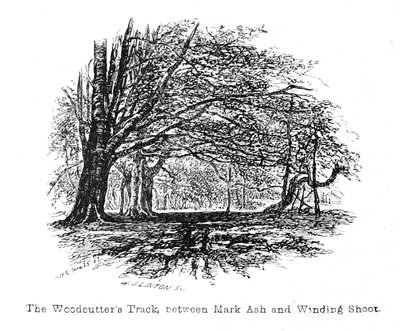 Het Houthakkerspad, tussen Mark Ash en Winding Shoot door Walter Crane